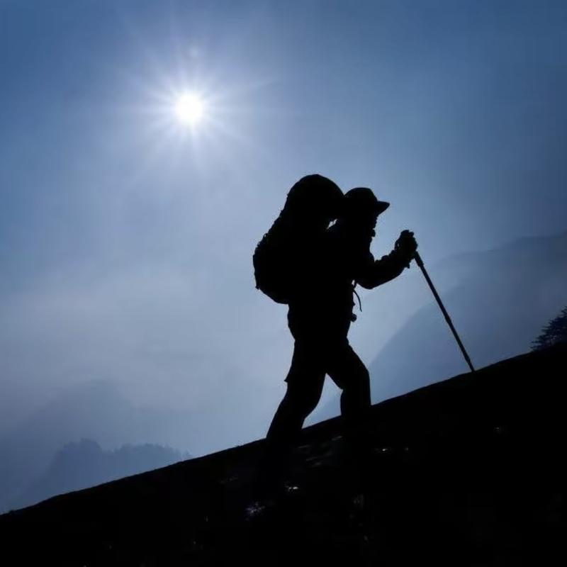 Durable Trekking Poles: Your Reliable Companion for Outdoor Adventures