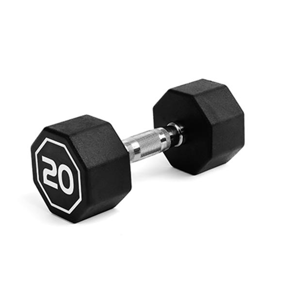 FITLASH 20LB per piece apollo Dumbbell for both commercial and home usage High-end Coated Octagon Dumbbells