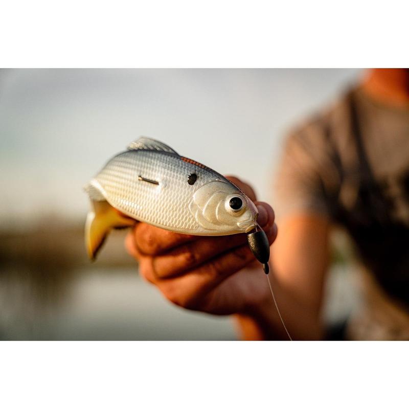 Panorama - Clearwater Shad