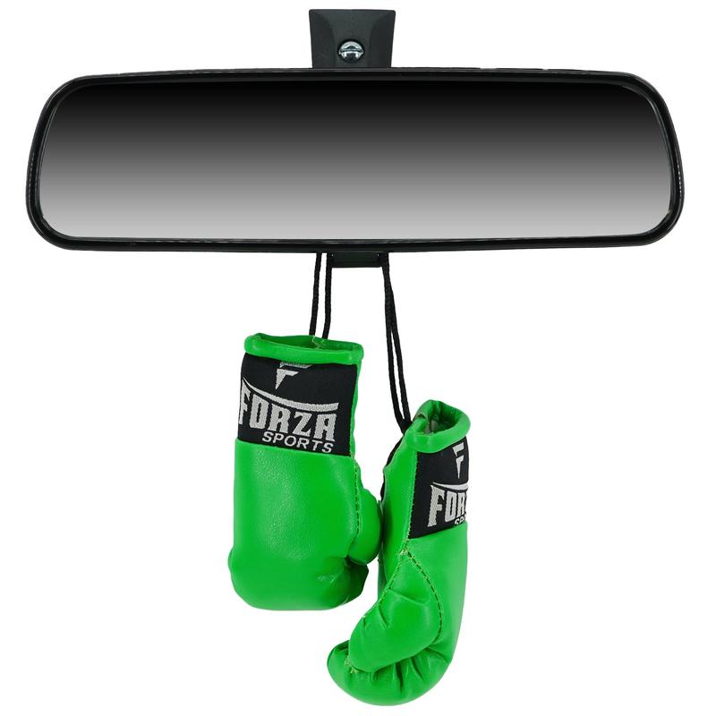 Forza Sports Mini Boxing Gloves